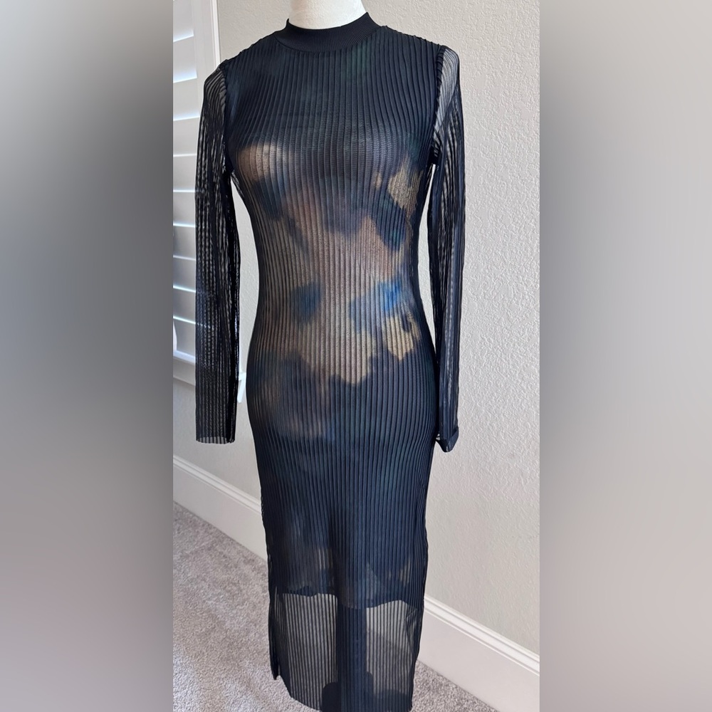 Elegant Sheer Dress